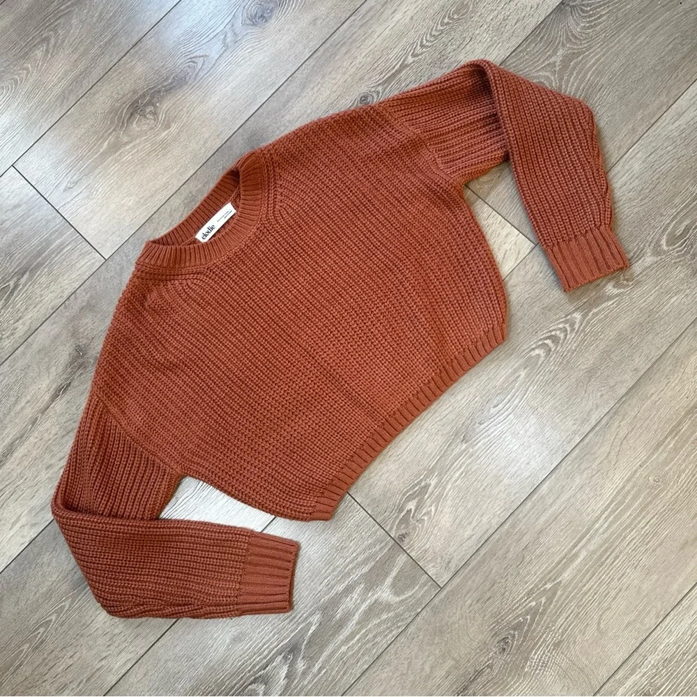 Elodie Cropped Knitted Crewneck Sweater Rust - Picture 3 of 10